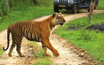 BANDIPUR