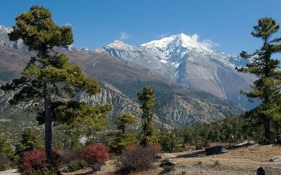 Annapurna Circuit Trekking